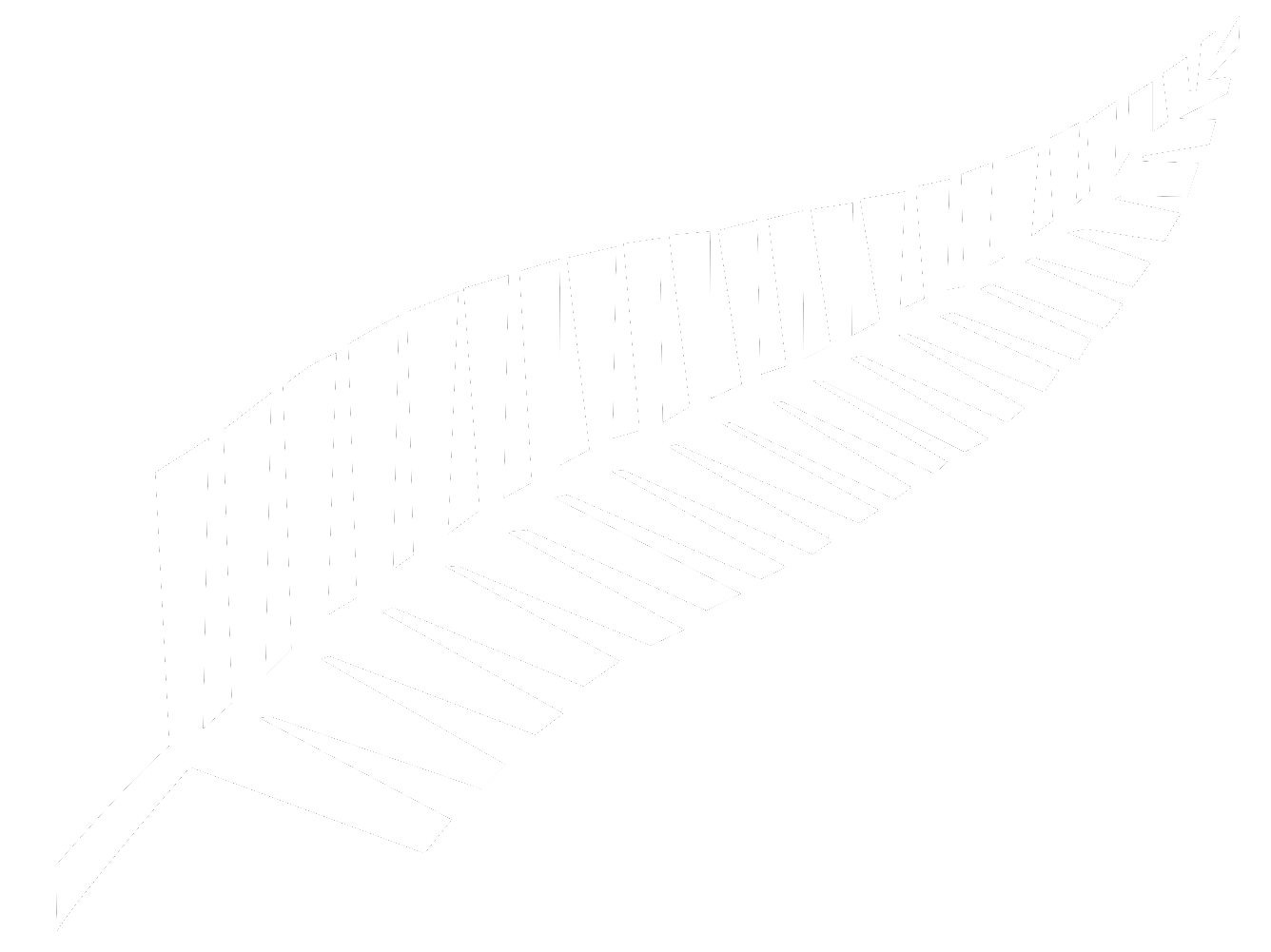 Silver Fern